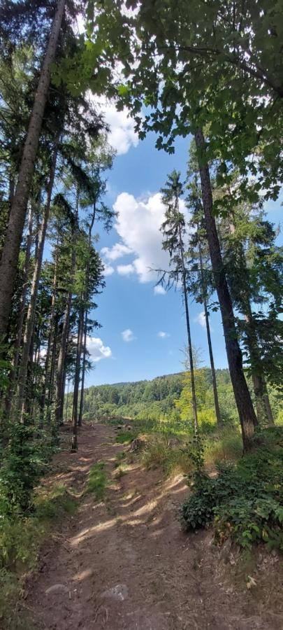 Apartman Na Kraji Lesa Janov nad Nisou Bagian luar foto