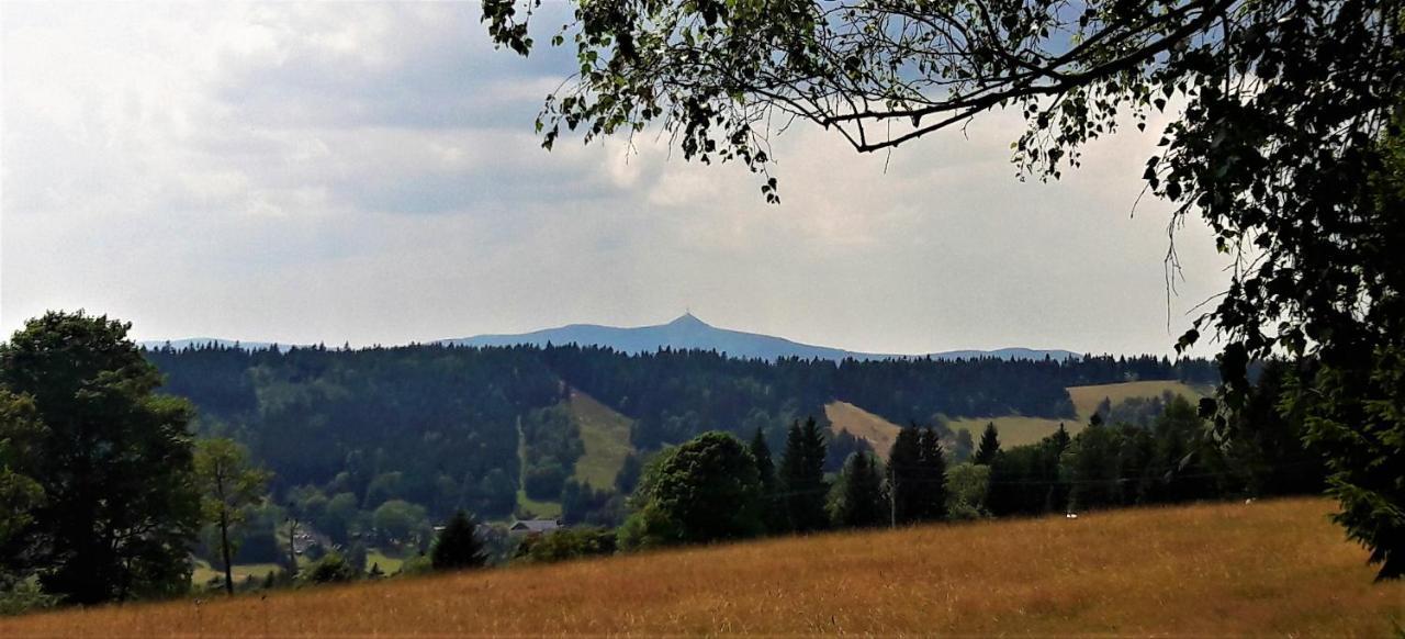 Apartman Na Kraji Lesa Janov nad Nisou Bagian luar foto
