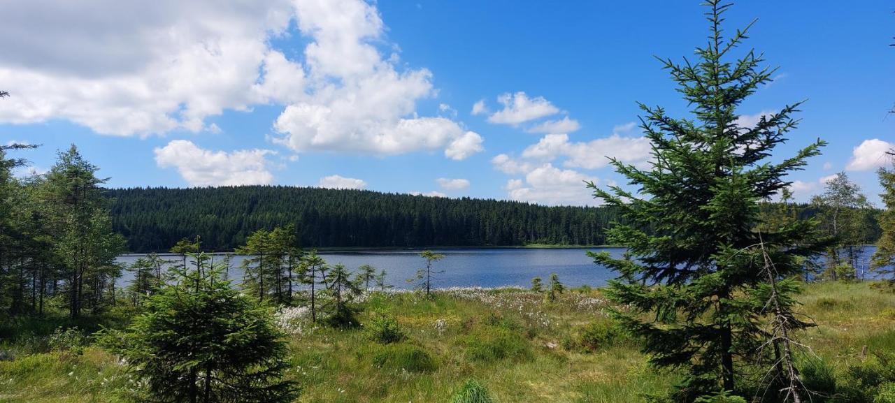 Apartman Na Kraji Lesa Janov nad Nisou Bagian luar foto