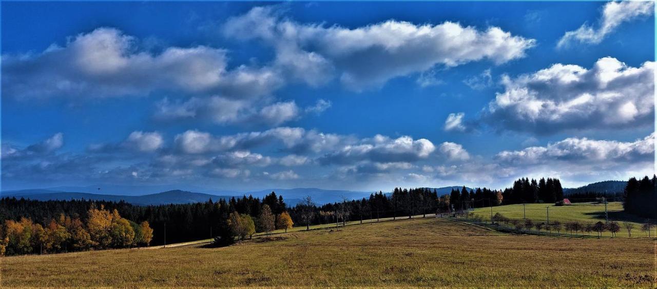 Apartman Na Kraji Lesa Janov nad Nisou Bagian luar foto