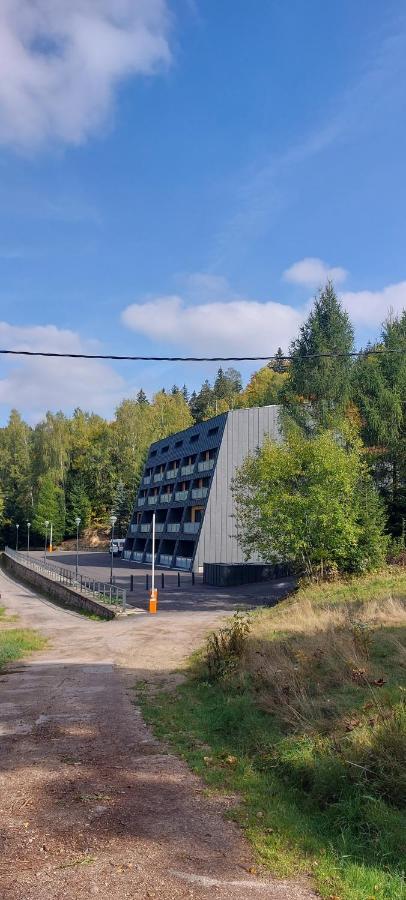 Apartman Na Kraji Lesa Janov nad Nisou Bagian luar foto