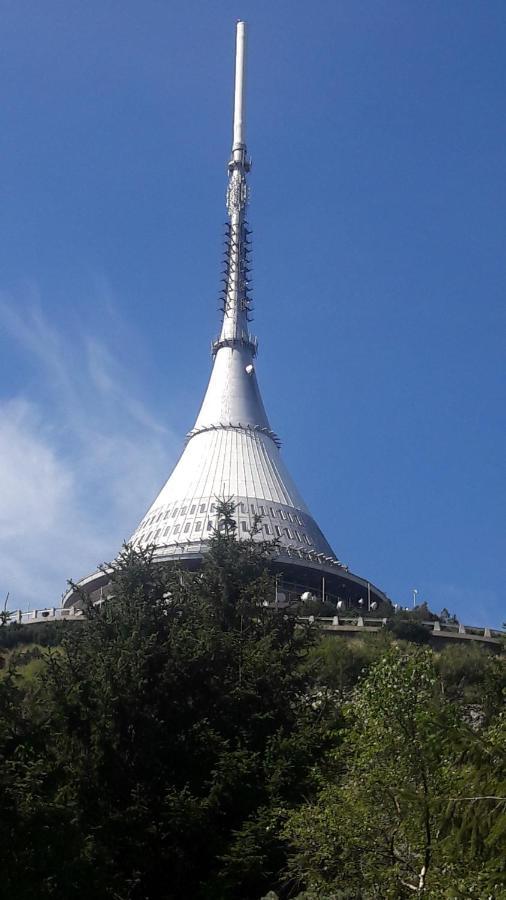 Apartman Na Kraji Lesa Janov nad Nisou Bagian luar foto