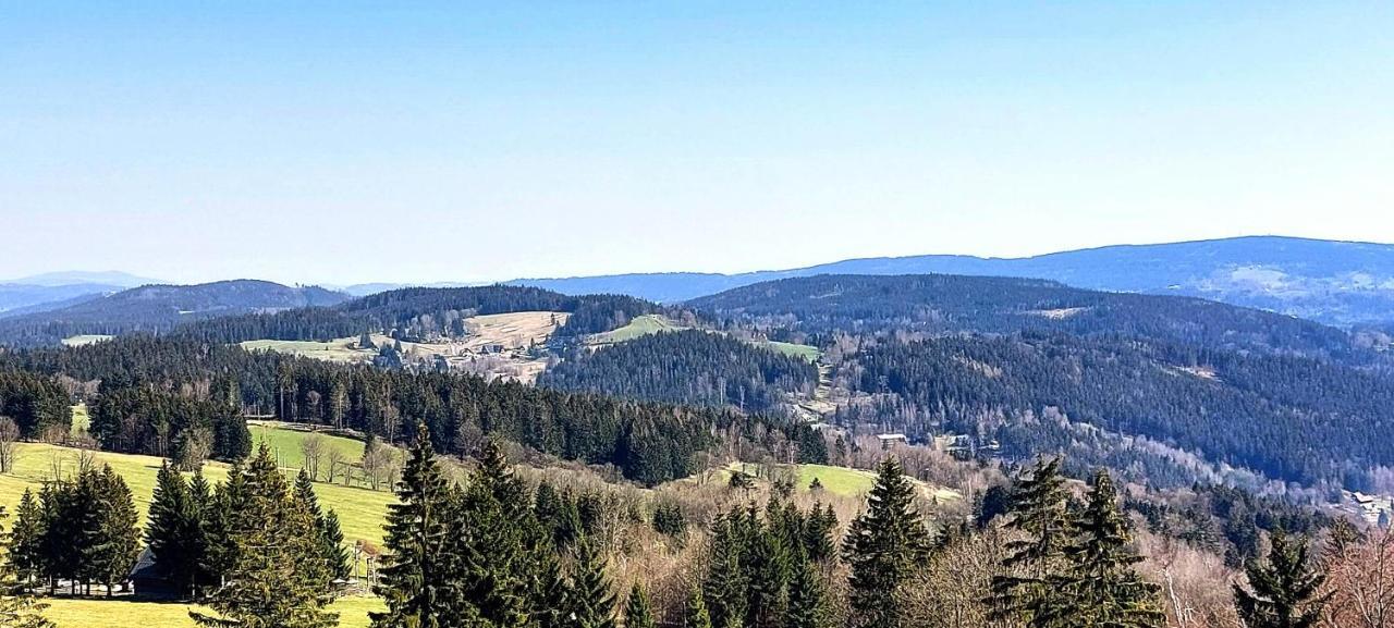 Apartman Na Kraji Lesa Janov nad Nisou Bagian luar foto