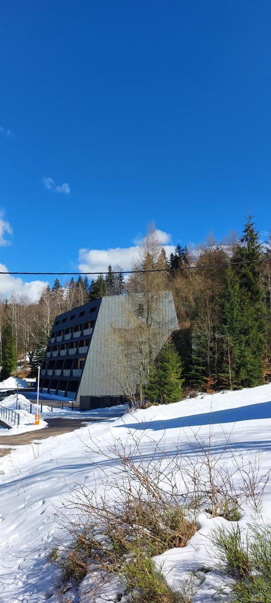Apartman Na Kraji Lesa Janov nad Nisou Bagian luar foto