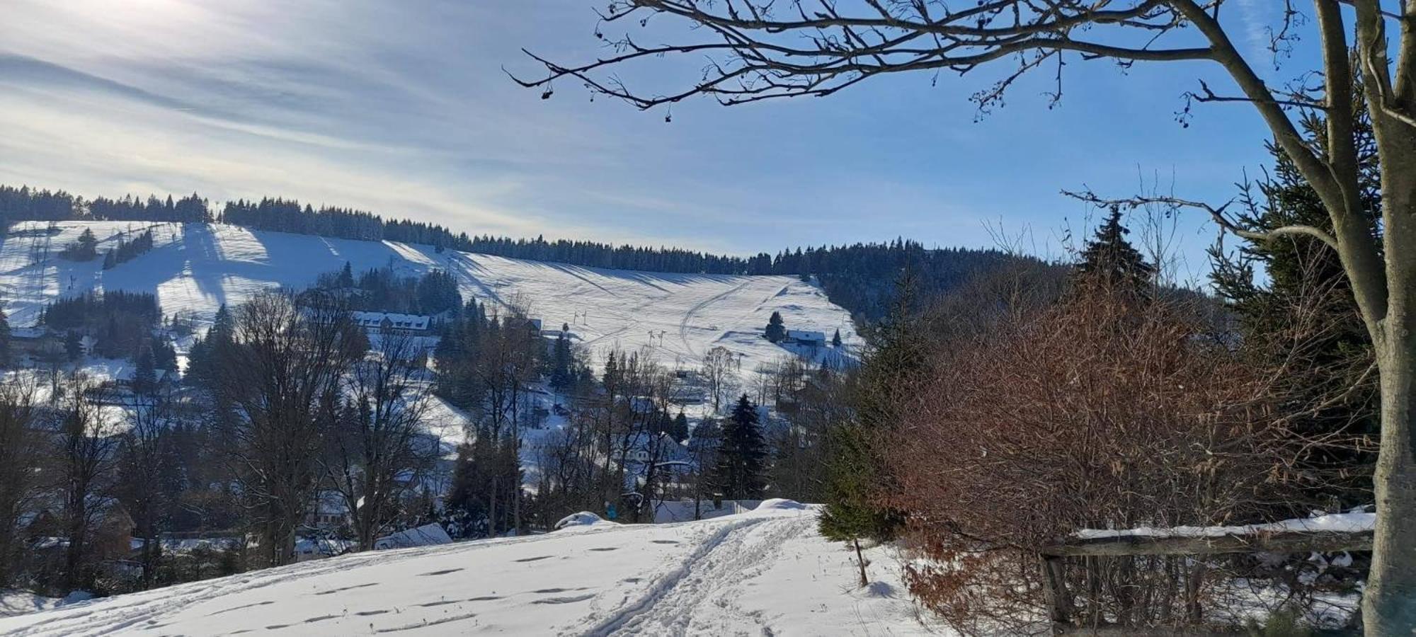 Apartman Na Kraji Lesa Janov nad Nisou Bagian luar foto