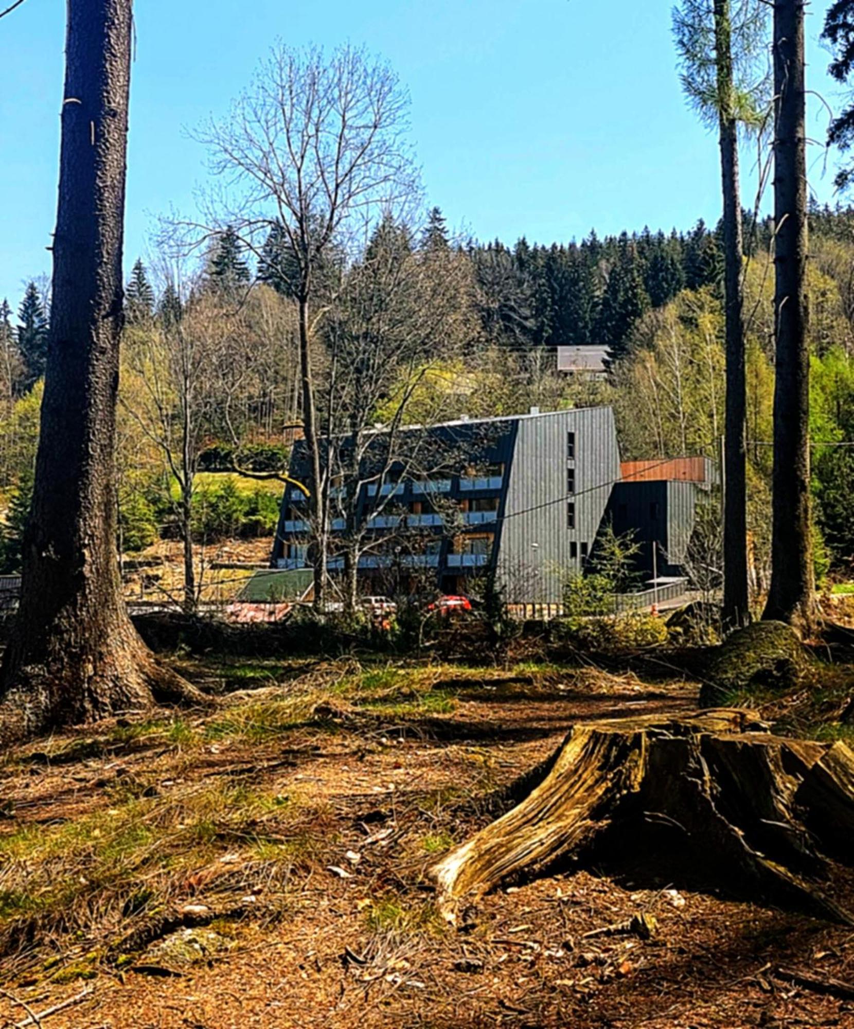 Apartman Na Kraji Lesa Janov nad Nisou Bagian luar foto