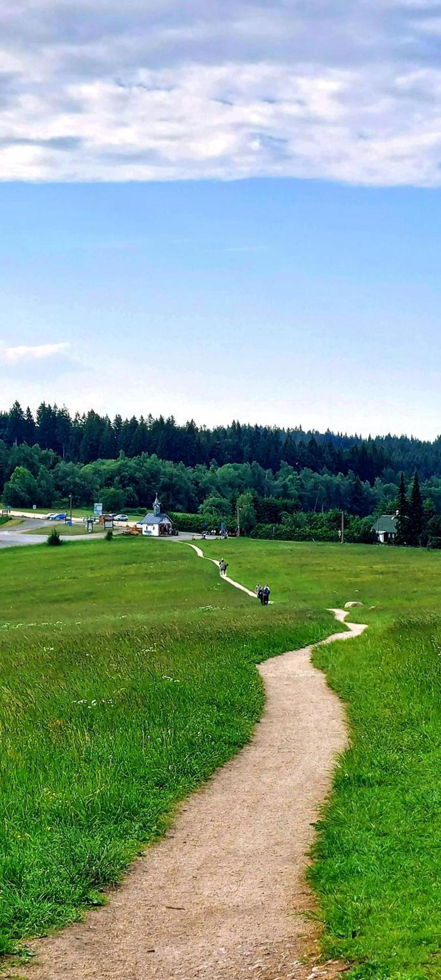 Apartman Na Kraji Lesa Janov nad Nisou Bagian luar foto