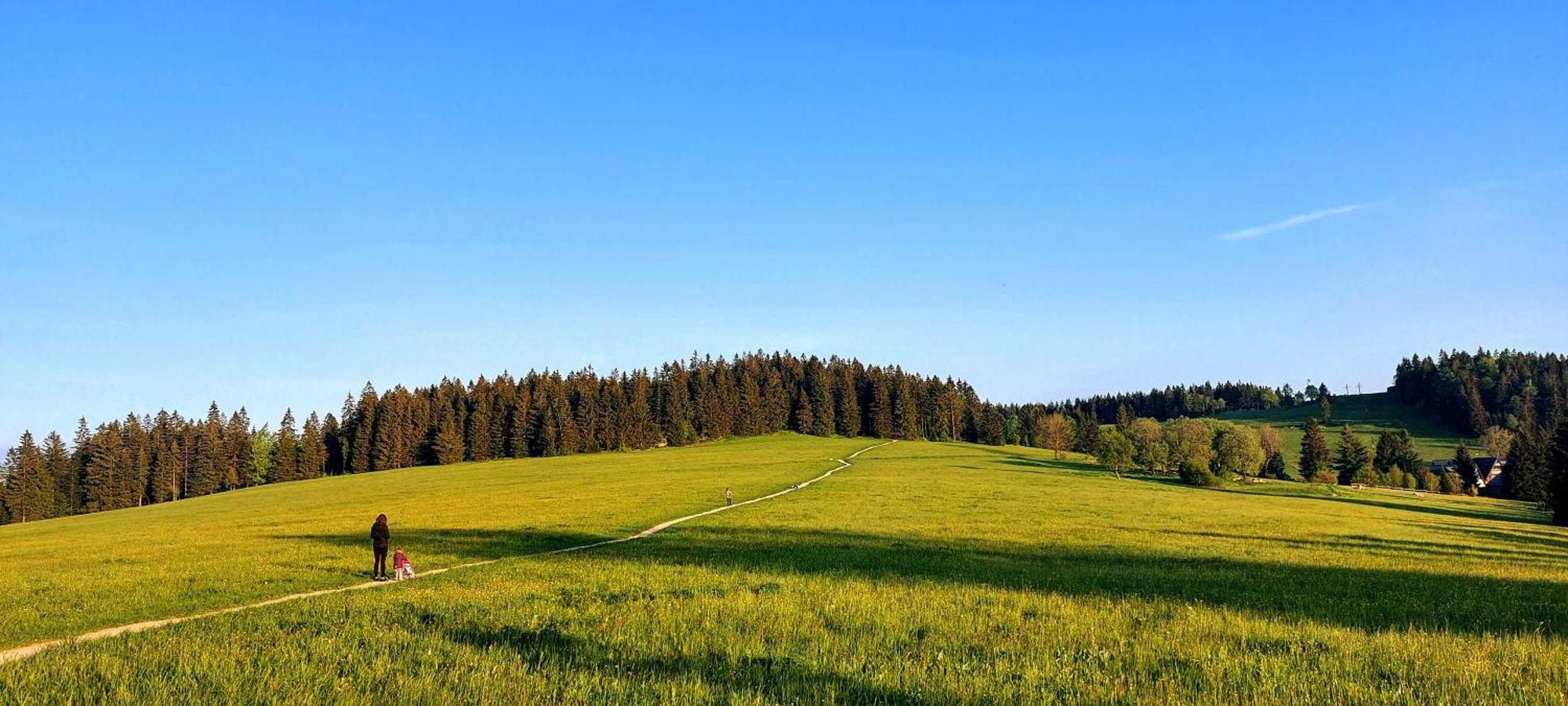 Apartman Na Kraji Lesa Janov nad Nisou Bagian luar foto