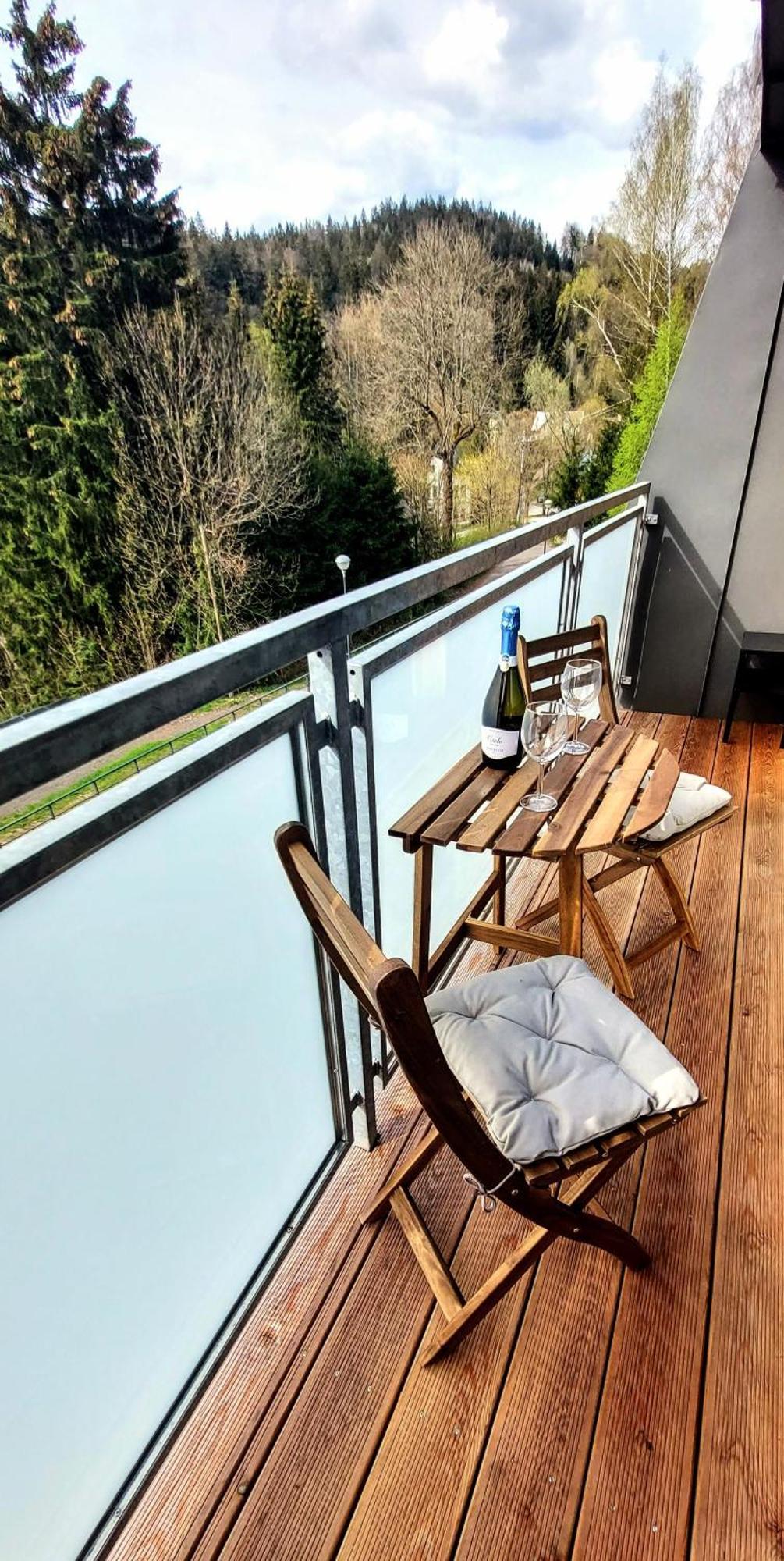Apartman Na Kraji Lesa Janov nad Nisou Bagian luar foto
